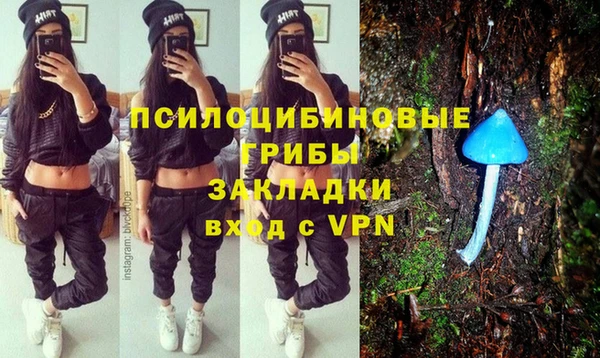 бутират Алексин