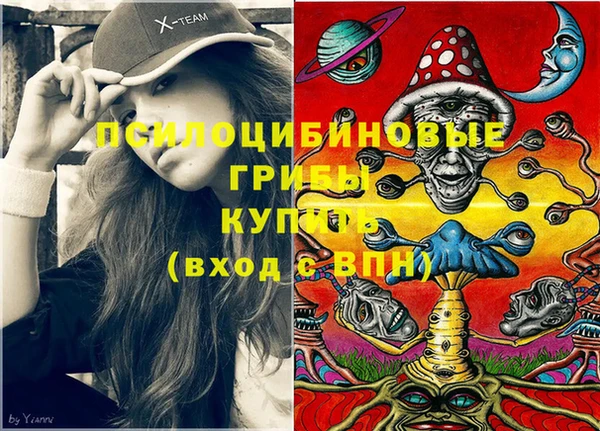 бутират Алексин