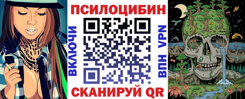 купить закладку  Кемерово  OMG tor  Галлюциногенные грибы мухоморы 