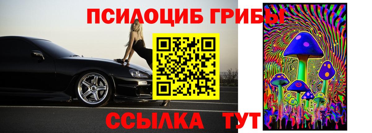 Псилоцибиновые грибы Cubensis  Псилоцибиновые грибы прущие грибы  Кемерово  Вход с VPN 