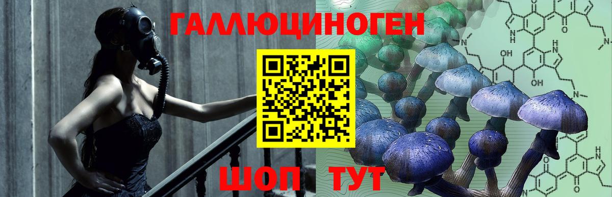Галлюциногенные грибы Cubensis Кемерово